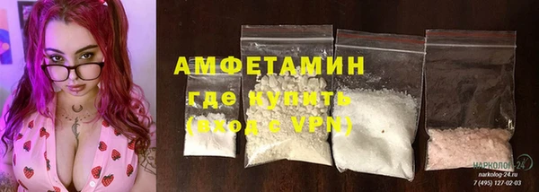 трава Няндома