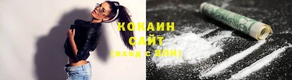 индика Абинск