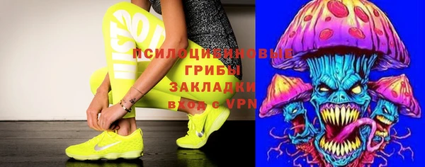 индика Абинск