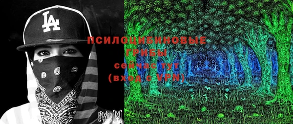 индика Абинск