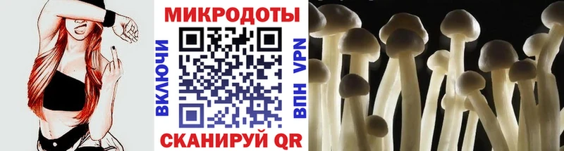 OMG ONION  Алзамай  Галлюциногенные грибы Magic Shrooms  закладка 